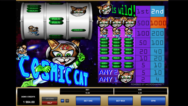 Cosmic Cat 7